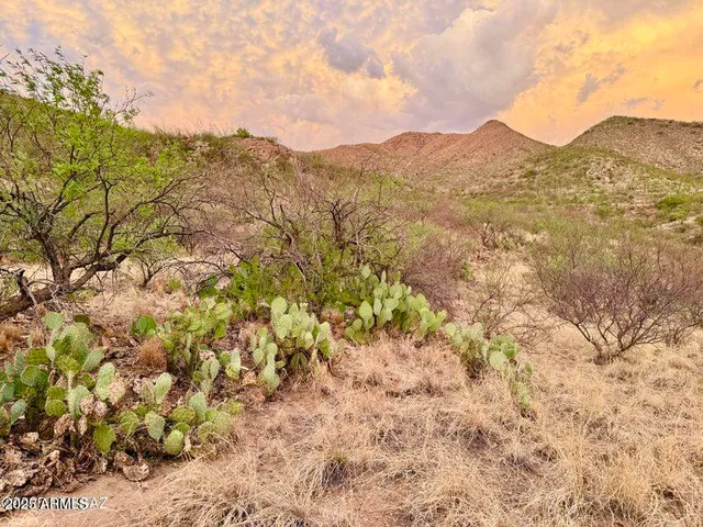 $228,500 | 19795 South Attaway Place, Vail, AZ 85641