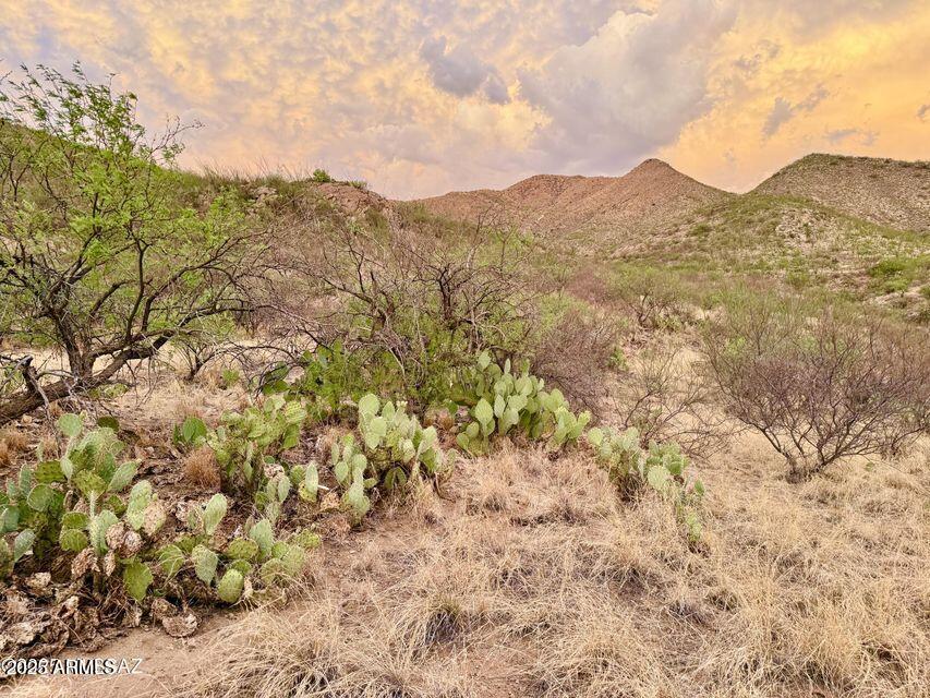 19795 South Attaway Place Vail, AZ 85641 - Photo 28 of 30 a view of mountain with a tree in the background