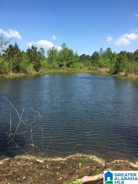 106 County Road, Unit 49836 Mentone, AL 35984 - Photo 7 of 17