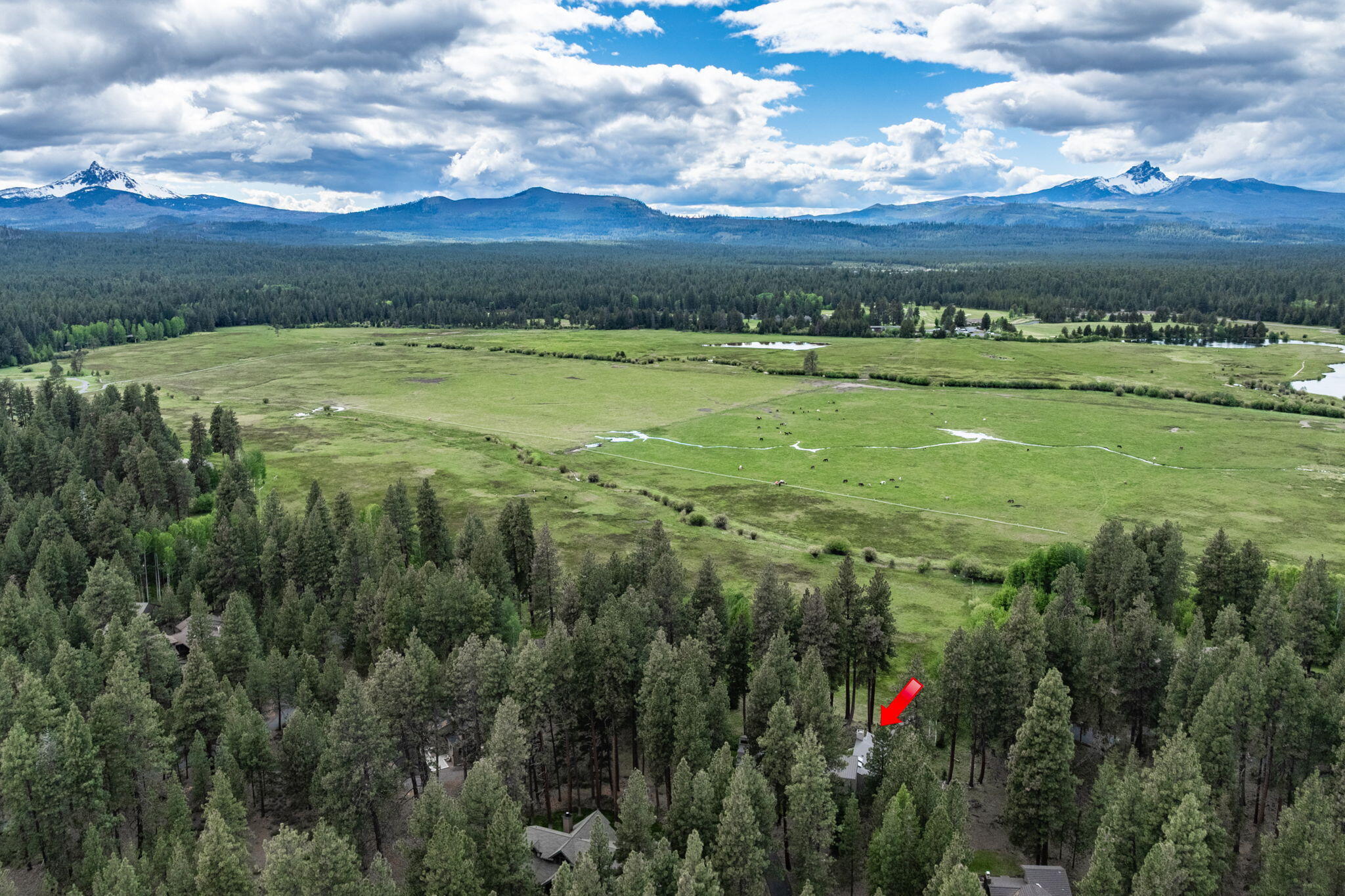 13729 Mentha, Unit EM 32 Black Butte Ranch, OR 97759 - Photo 65 of 76