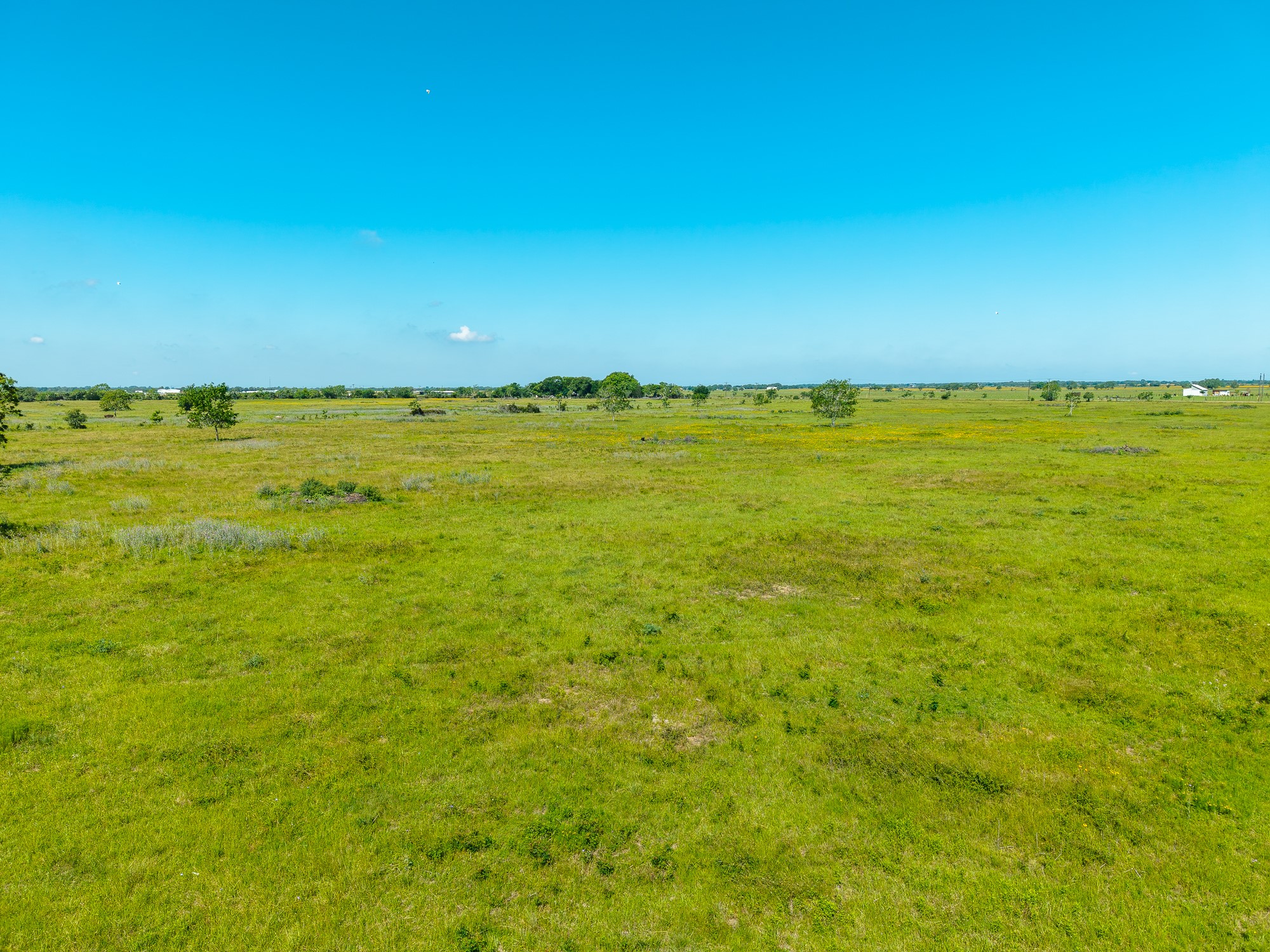 1929 FM 2761 Road Cat Spring, TX 78933 - Photo 7 of 16 a view of an ocean