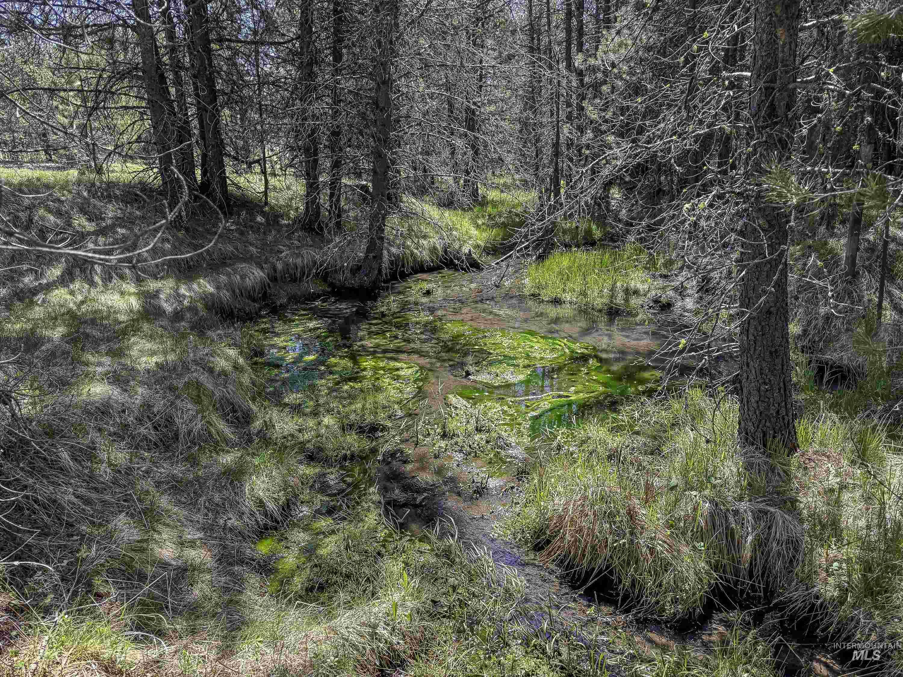 Tbd Deer Creek Road Winchester, ID 83555 - Photo 28 of 39