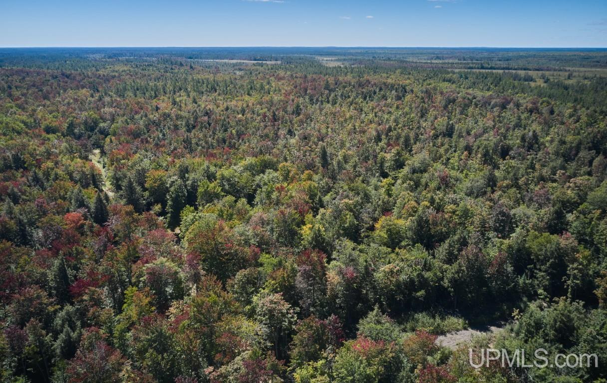 454 Creighton Trail Road Shingleton, MI 49884 - Photo 19 of 26