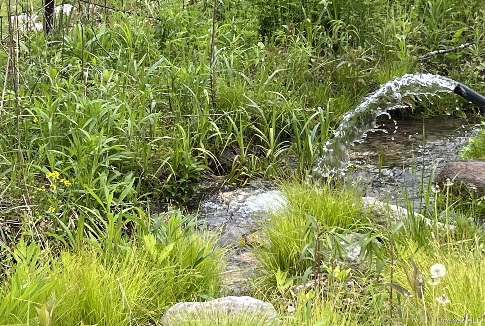 13 Herlings Road Wurtsboro, NY 12790 - Photo 2 of 28 Artesian wells pour into a creek.
