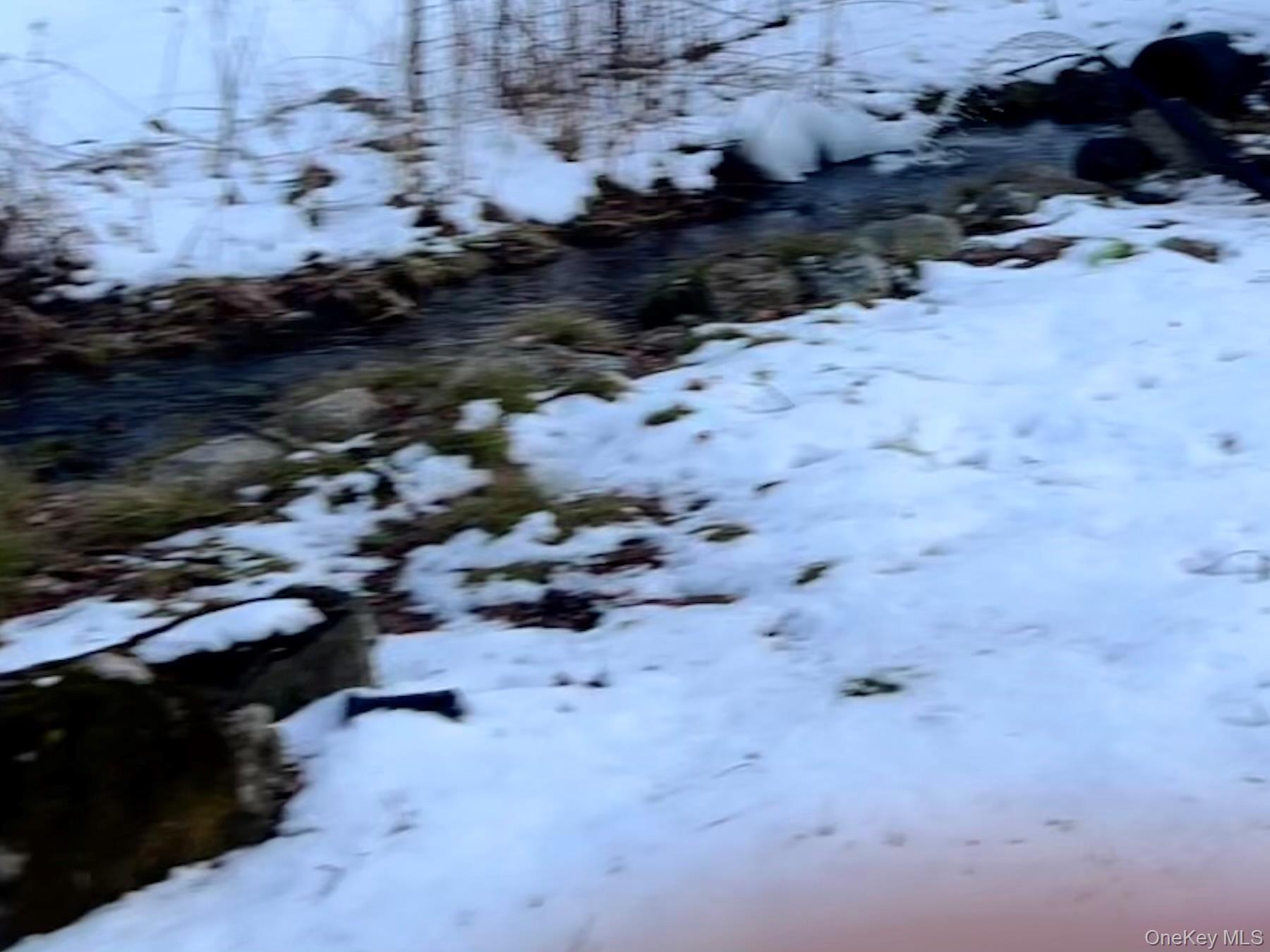 13 Herlings Road Wurtsboro, NY 12790 - Photo 3 of 37 a view of outside space