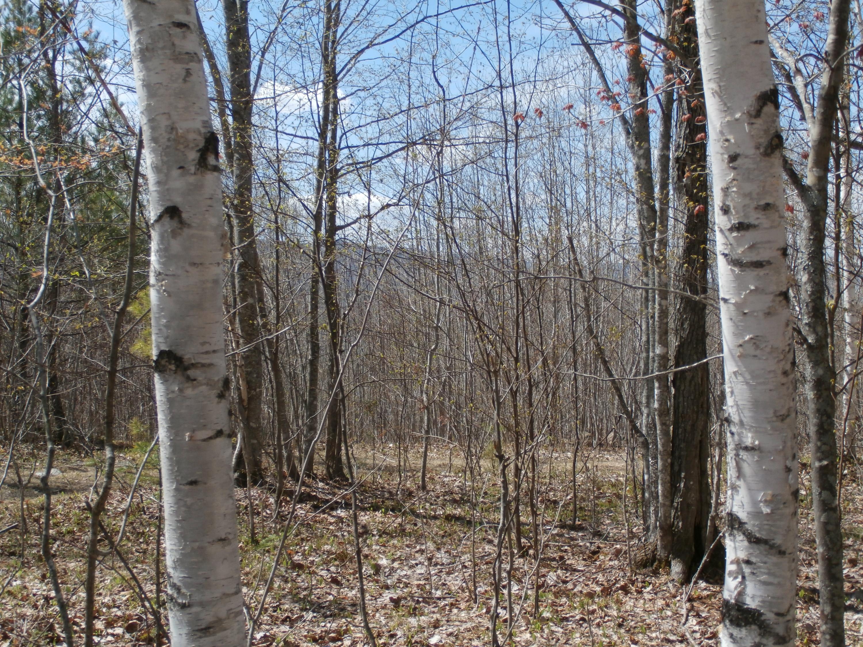 9 Green Hill Road Dixfield, ME 04224 - Photo 32 of 34 P5020849