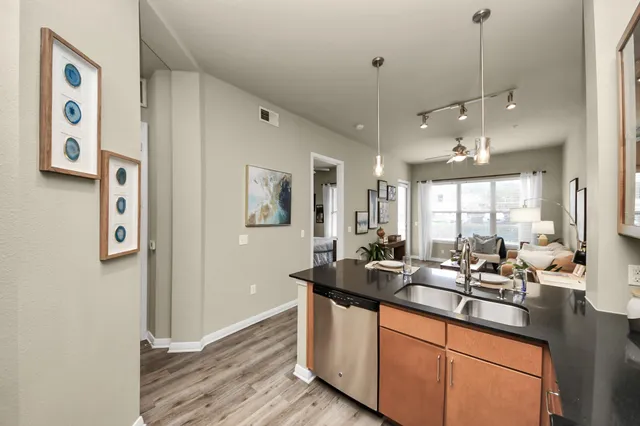 $1,287 | 5455 Richmond Avenue, Unit 1027, Houston, TX 77056