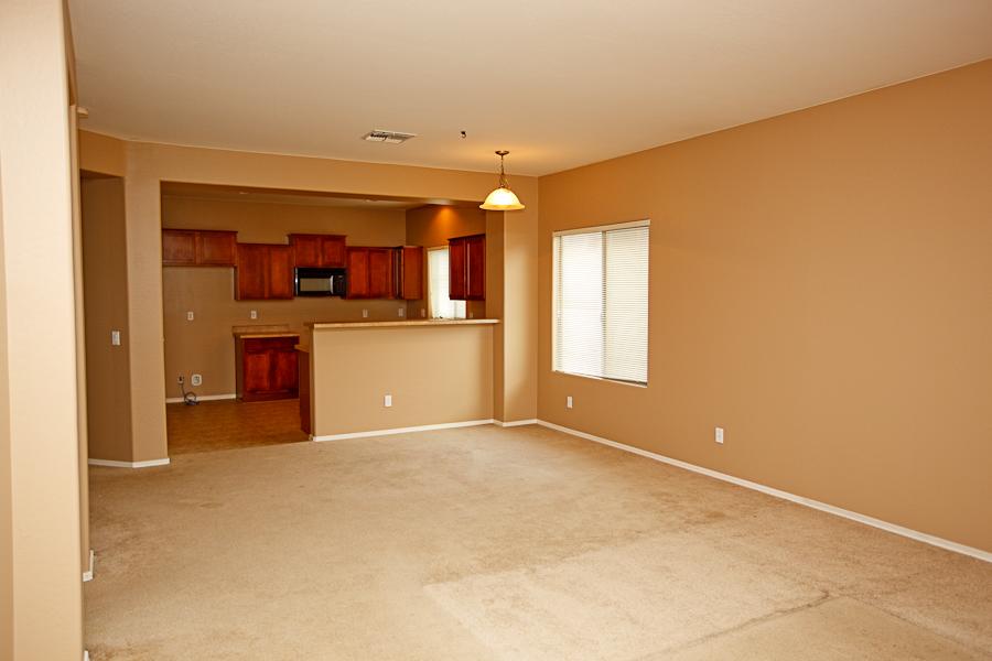 7347 West Millerton Way Florence, AZ 85132 - Photo 4 of 11 7347 W Millerton Way-Living Room 1