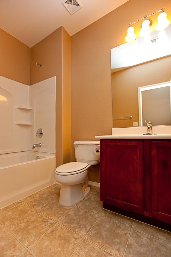 7347 West Millerton Way Florence, AZ 85132 - Photo 10 of 11 7347 W Millerton Way-Hall Bath