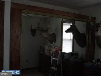 262 Pointville Road Pemberton, NJ 08068 - Photo 4 of 11 Bedroom 2