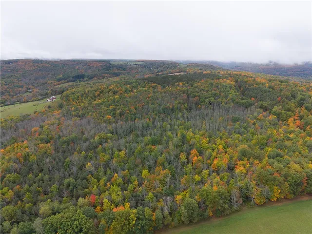 $249,900 | Clark Road, Hornell, NY 14843