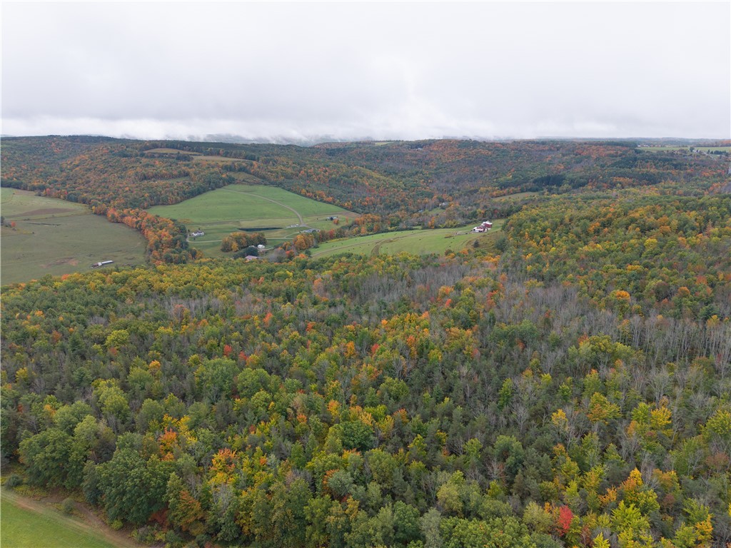 Clark Road Hornell, NY 14843 - Photo 14 of 26