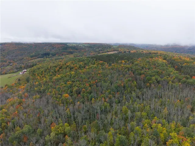 $249,900 | Clark Road, Hornell, NY 14843