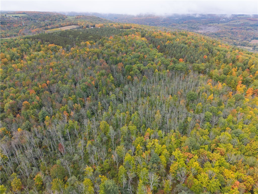 Clark Road Hornell, NY 14843 - Photo 16 of 26