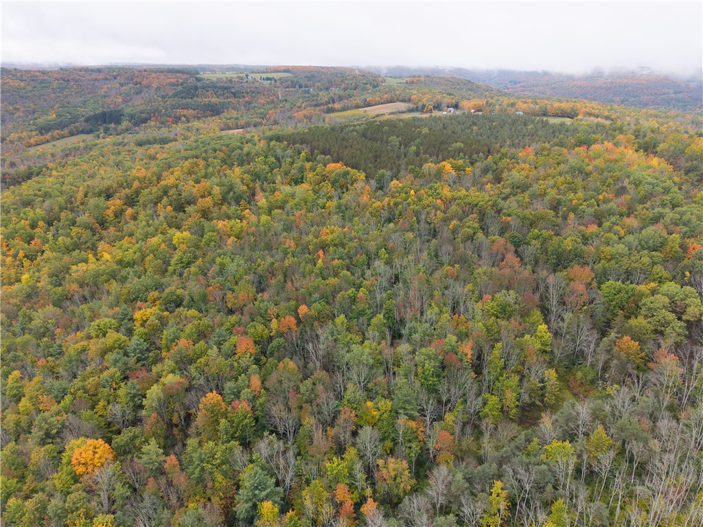 Clark Road Hornell, NY 14843 - Photo 17 of 26