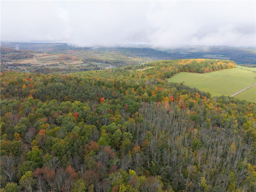 Clark Road Hornell, NY 14843 - Photo 18 of 26