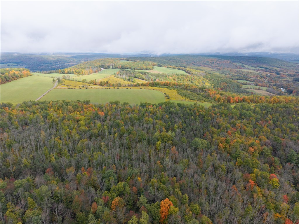 Clark Road Hornell, NY 14843 - Photo 20 of 26