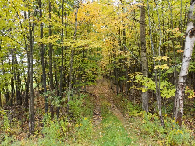 $249,900 | Clark Road, Hornell, NY 14843