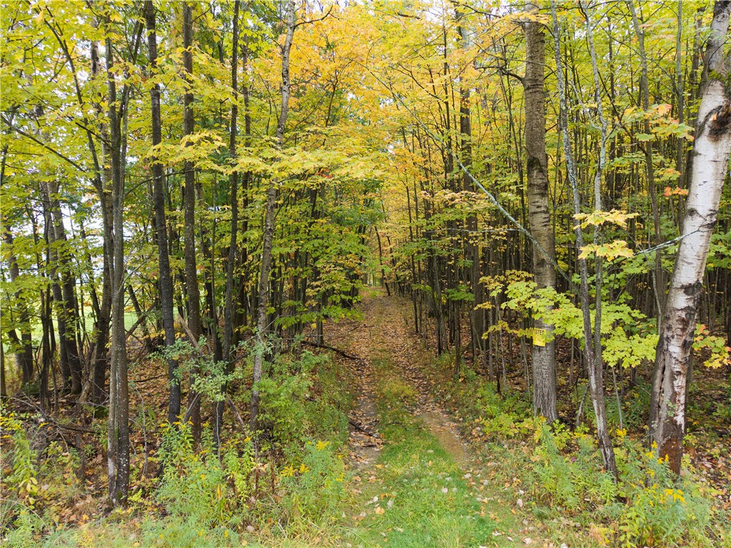 Clark Road Hornell, NY 14843 - Photo 2 of 26