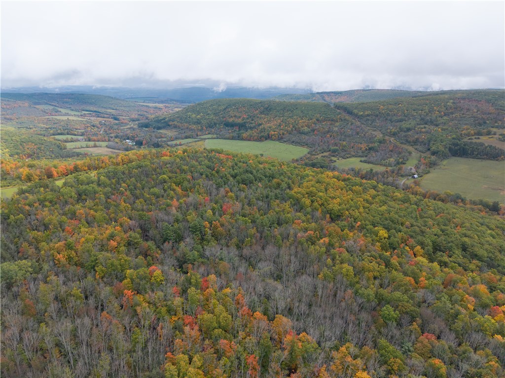 Clark Road Hornell, NY 14843 - Photo 21 of 26