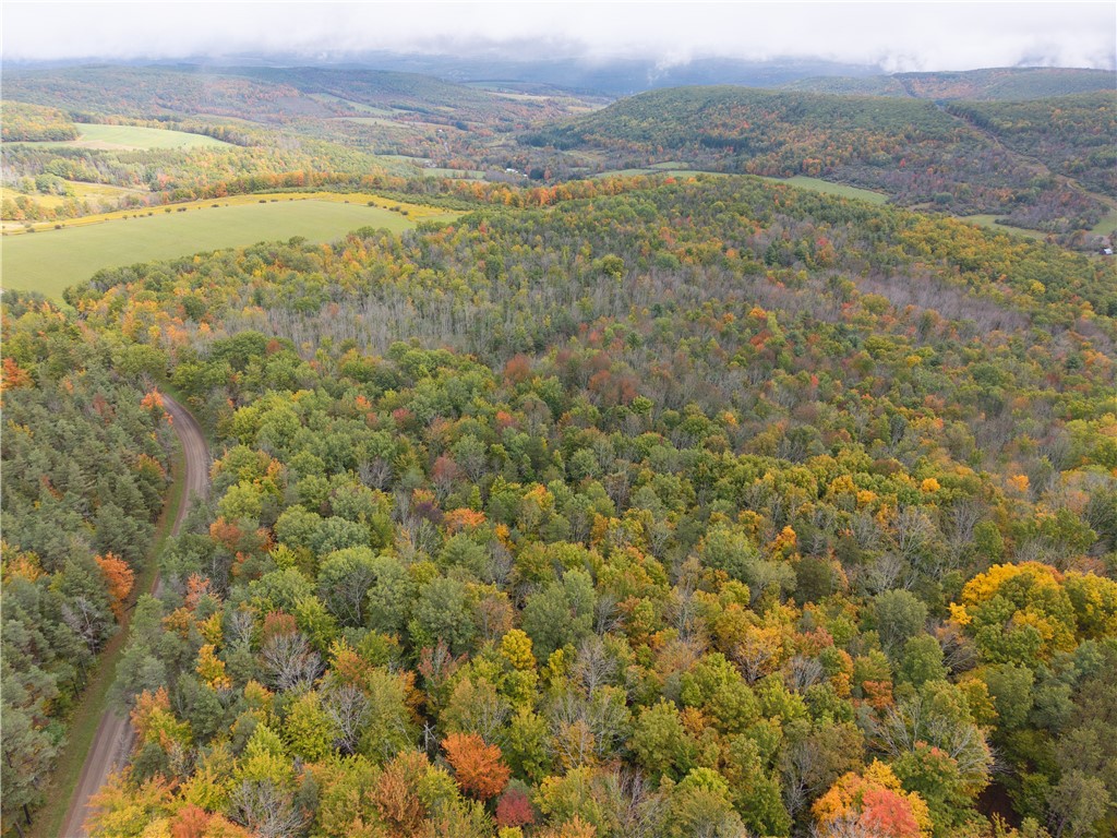 Clark Road Hornell, NY 14843 - Photo 22 of 26