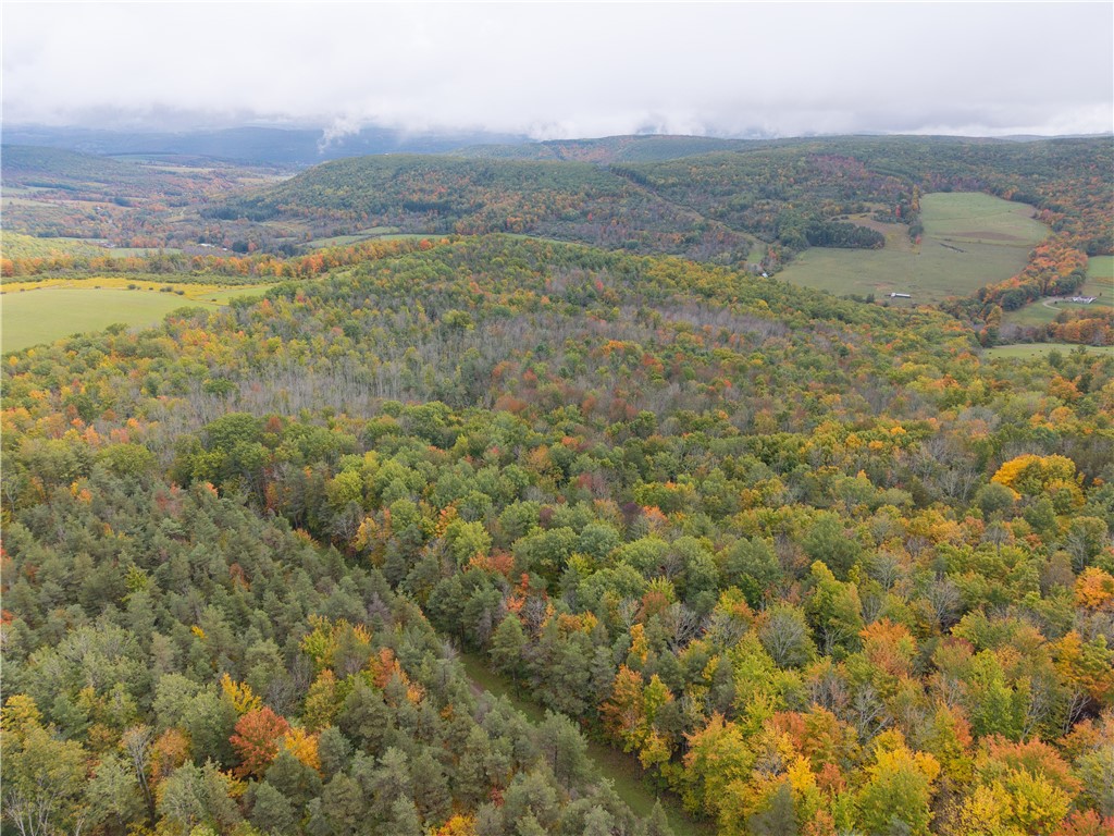 Clark Road Hornell, NY 14843 - Photo 25 of 26