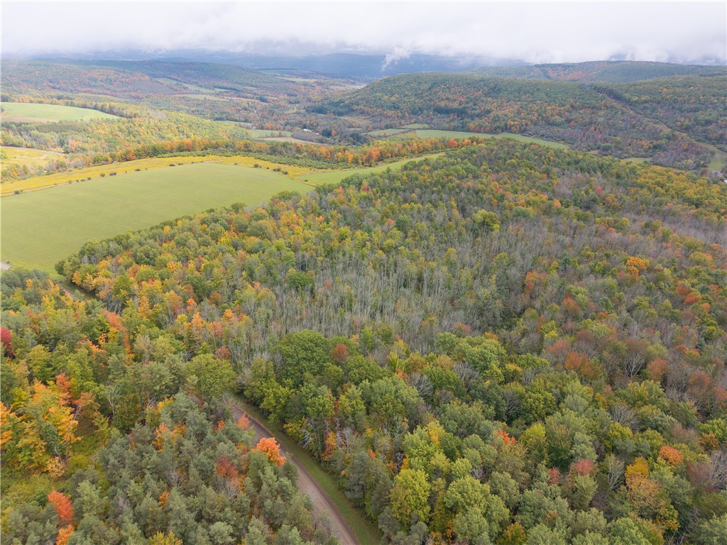 Clark Road Hornell, NY 14843 - Photo 26 of 26