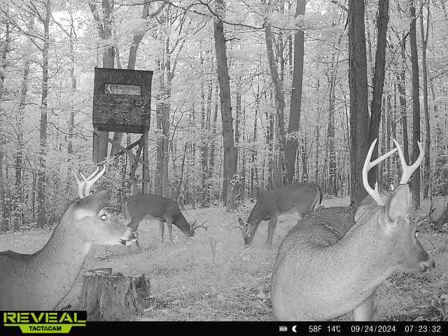 Clark Road Hornell, NY 14843 - Photo 3 of 26