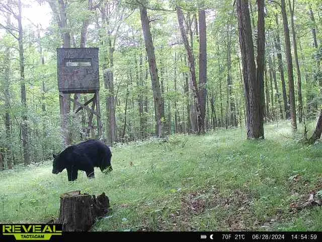 $249,900 | Clark Road, Hornell, NY 14843