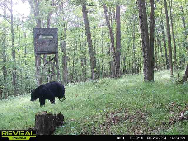 Clark Road Hornell, NY 14843 - Photo 4 of 26