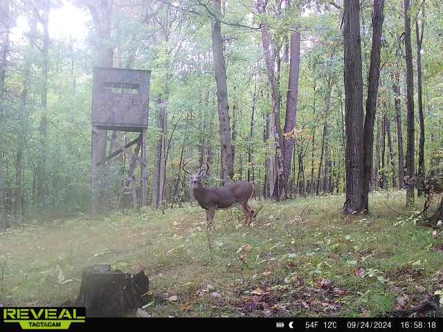 Clark Road Hornell, NY 14843 - Photo 5 of 26