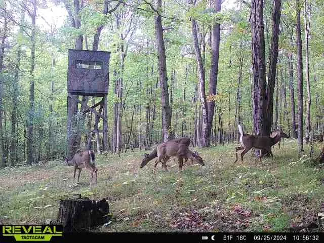 $249,900 | Clark Road, Hornell, NY 14843