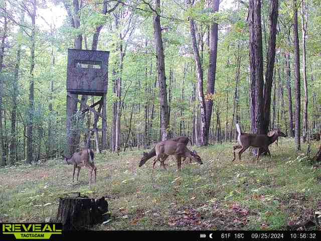 Clark Road Hornell, NY 14843 - Photo 6 of 26