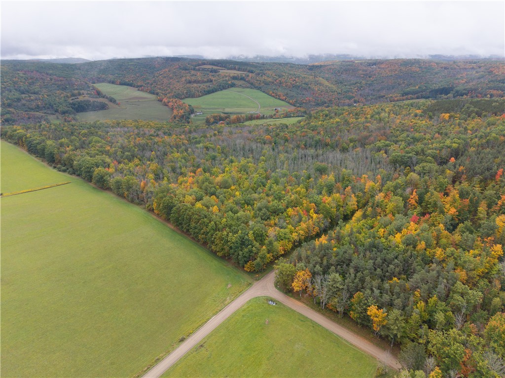 Clark Road Hornell, NY 14843 - Photo 8 of 26