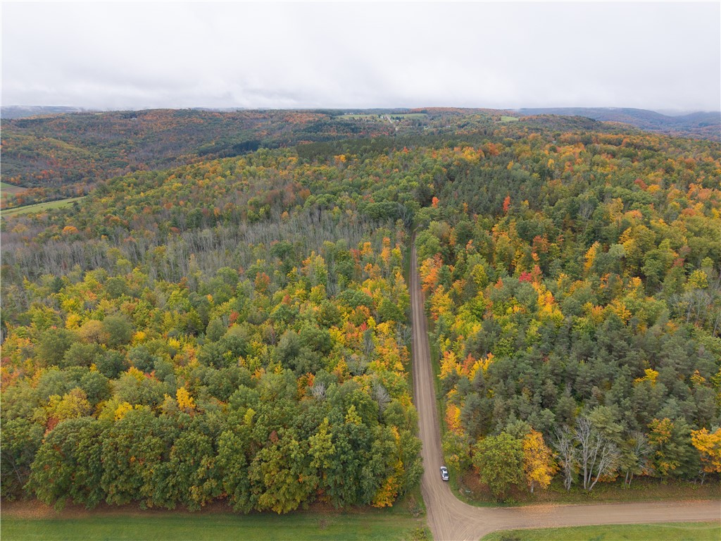 Clark Road Hornell, NY 14843 - Photo 9 of 26