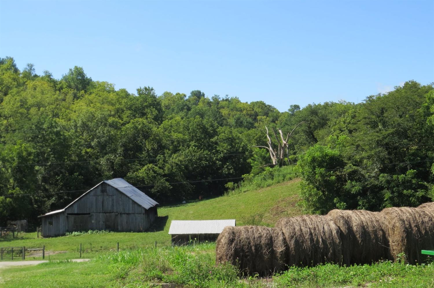 636 Ceder Road Owingsville, KY 40360 - Photo 2 of 22 Photo 2