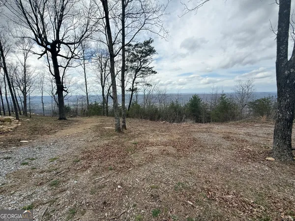 $260,000 | Lot 15 Scenic Highway, Rising Fawn, GA 30738