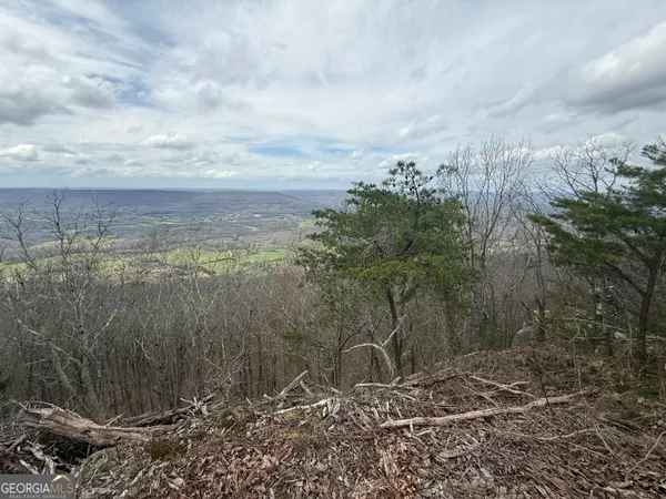 $260,000 | Lot 15 Scenic Highway, Rising Fawn, GA 30738