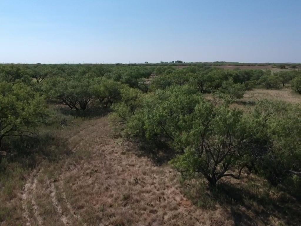 Tbd Turtle Hole Road Graham, TX 76450 - Photo 11 of 22 Gallery Image 11