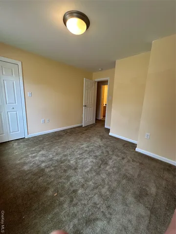 a view of a backyard with potted plants and large tree
