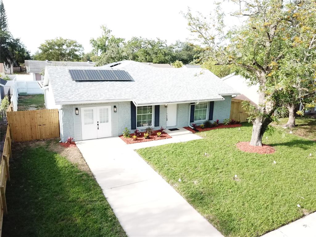 7329 Jenner Avenue New Port Richey, FL 34655 - Photo 31 of 33