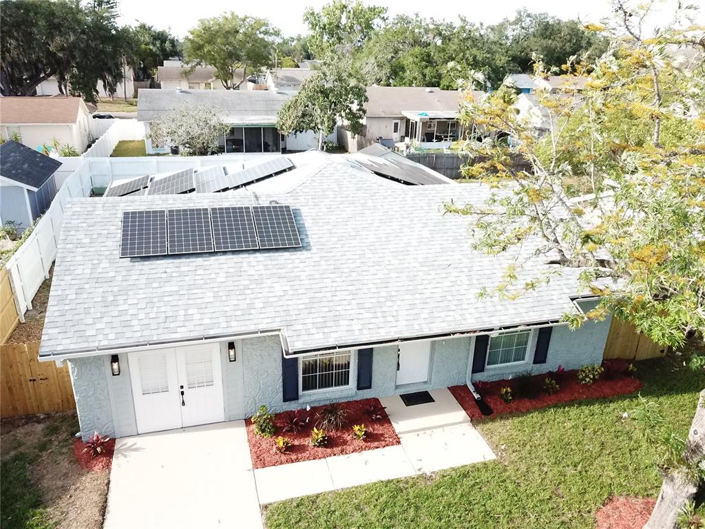 7329 Jenner Avenue New Port Richey, FL 34655 - Photo 32 of 33