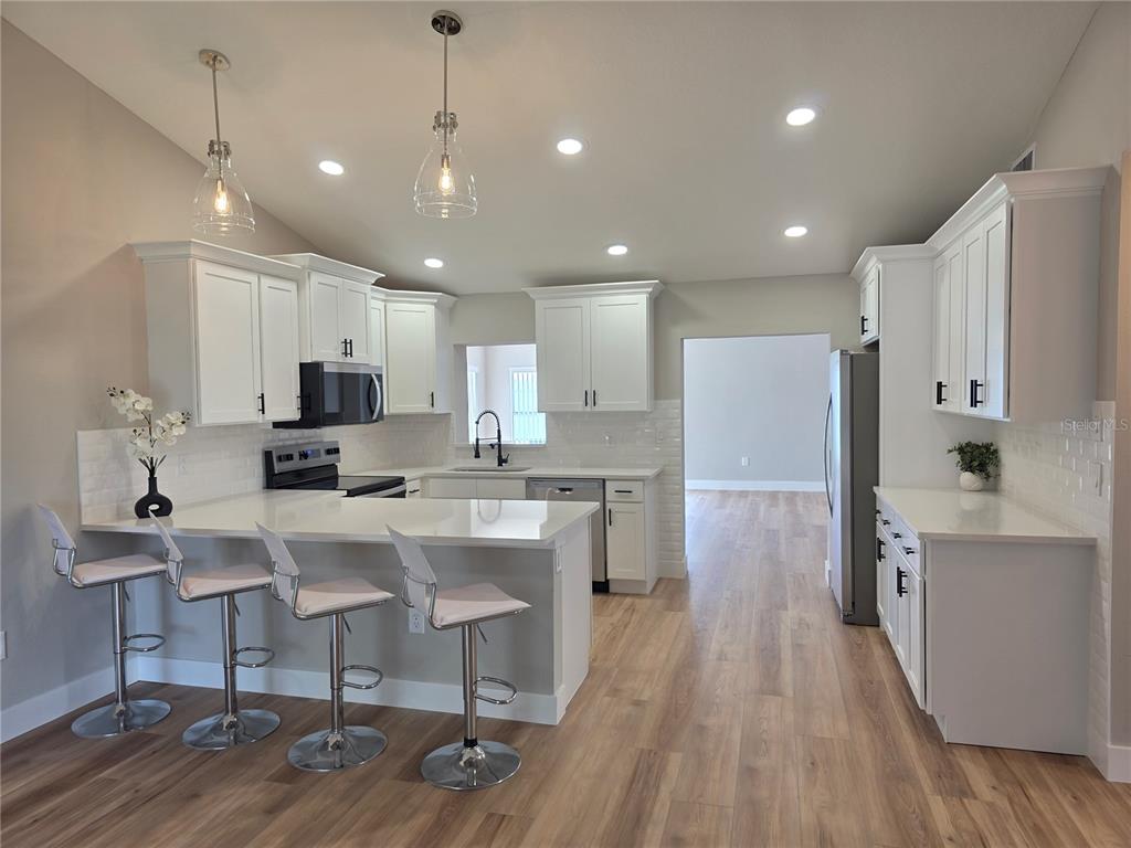 7329 Jenner Avenue New Port Richey, FL 34655 - Photo 4 of 33