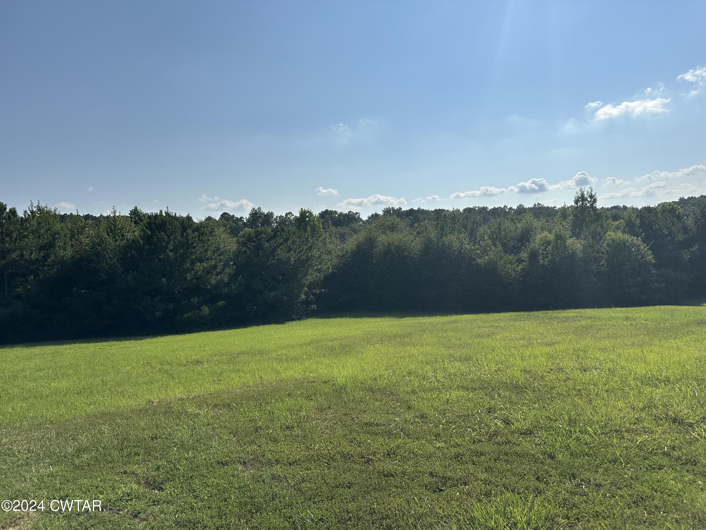 Lot 21 Timberwood Cove Henderson, TN 38340 - Photo 2 of 5 a view of grassy field with mountain in background