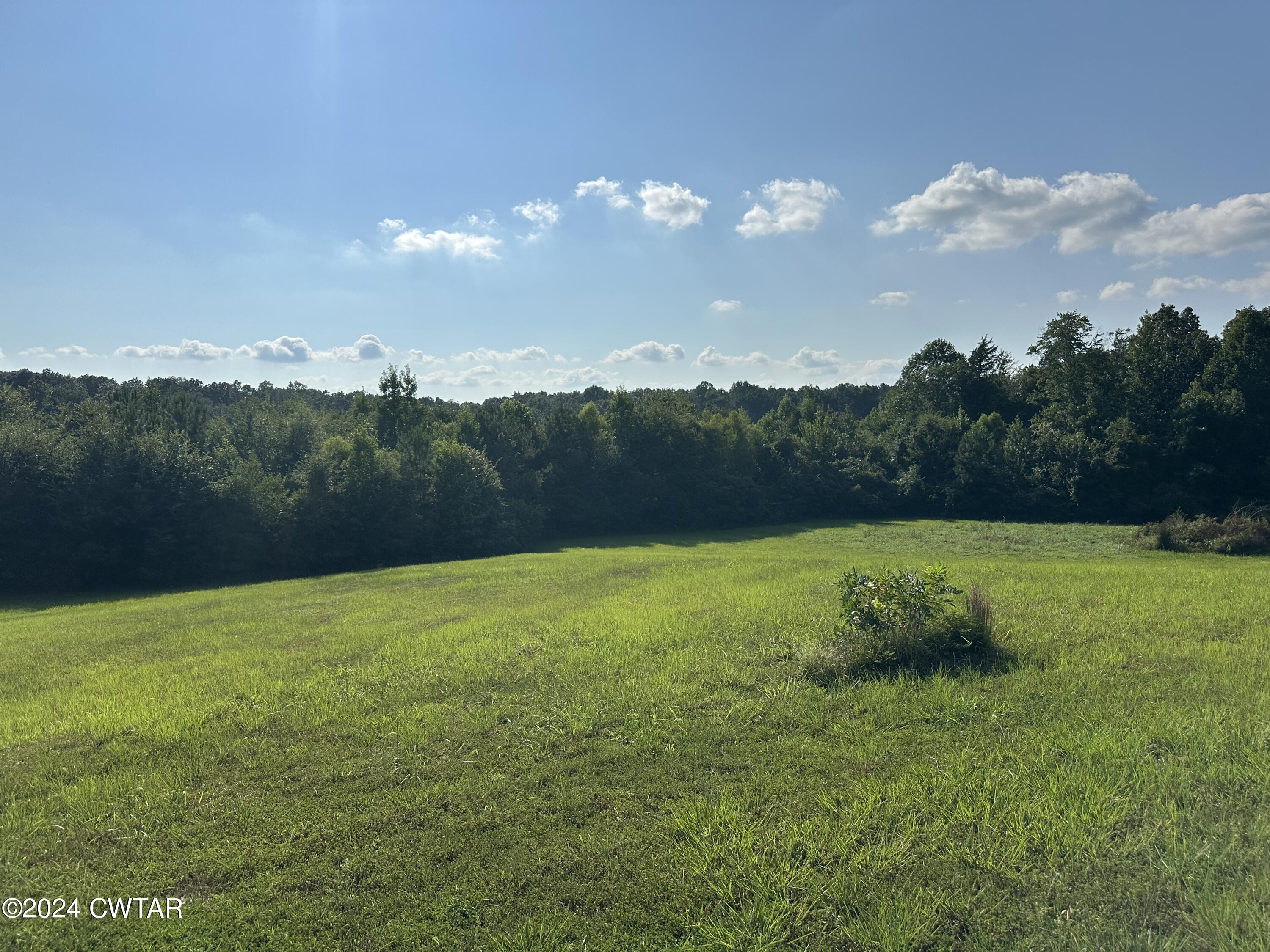 Lot 21 Timberwood Cove Henderson, TN 38340 - Photo 3 of 5 a view of a grassy field