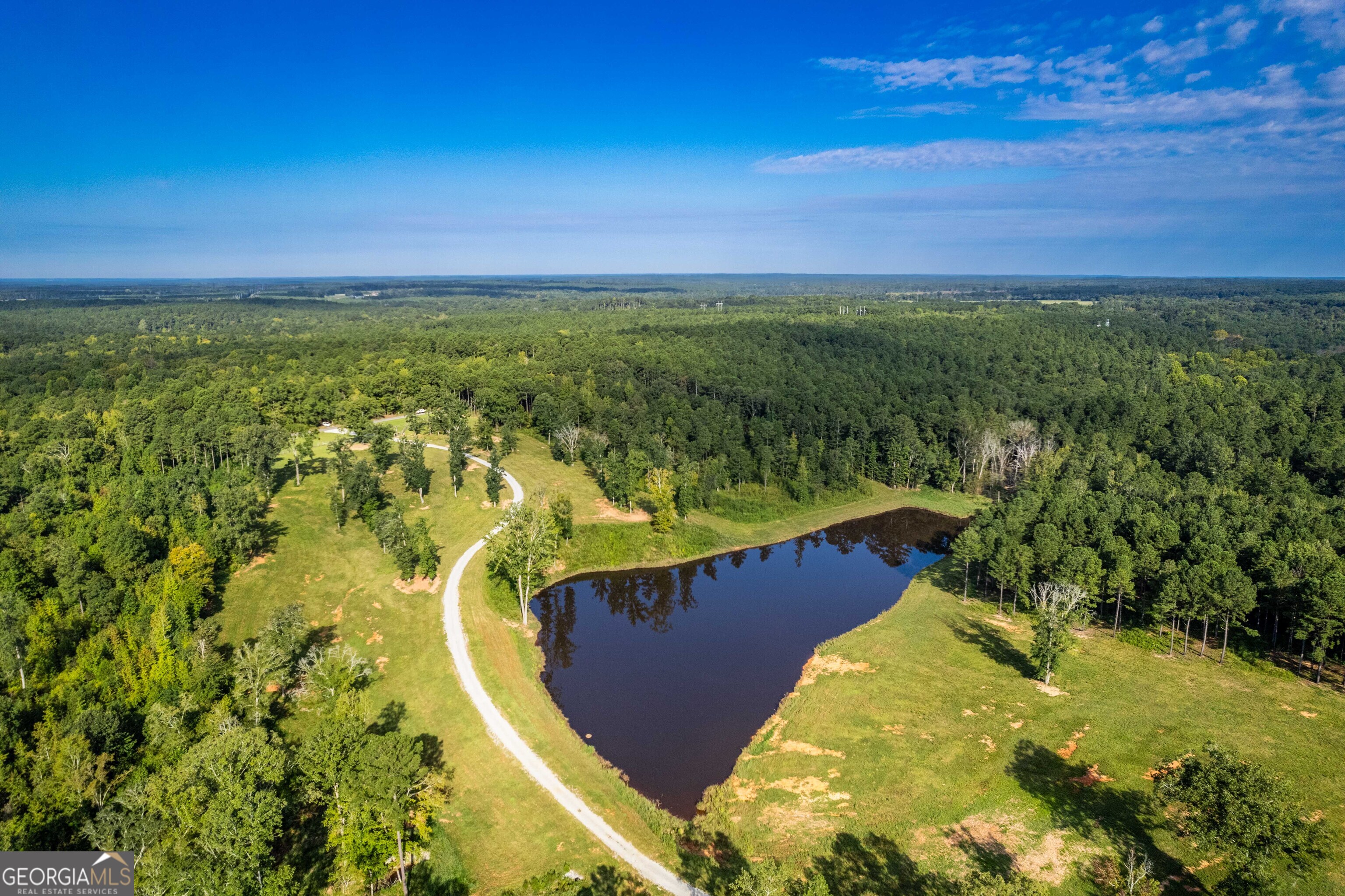 1968 Bobby Brown State Park Road Elberton, GA 30635 - Photo 61 of 97 a view of a swimming pool with a yard