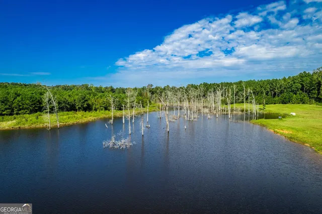 $7,999,999 | 1968 Bobby Brown State Park Road, Elberton, GA 30635