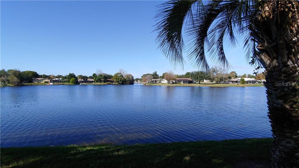 9111 Lingrove Road Weeki Wachee, FL 34613 - Photo 1 of 1 Lake View - Backyard View
