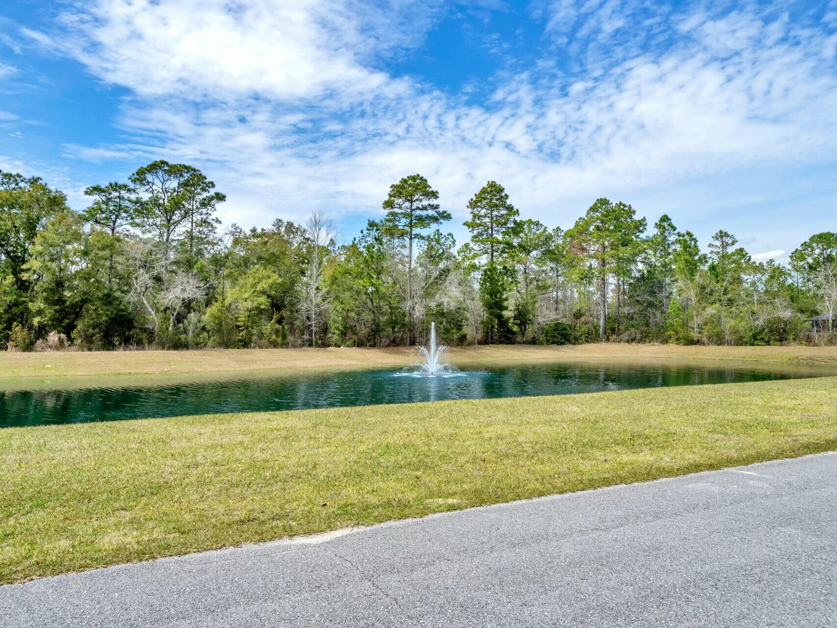 176 Hibernate Way Freeport, FL 32439 - Photo 4 of 66 a view of a garden with large trees
