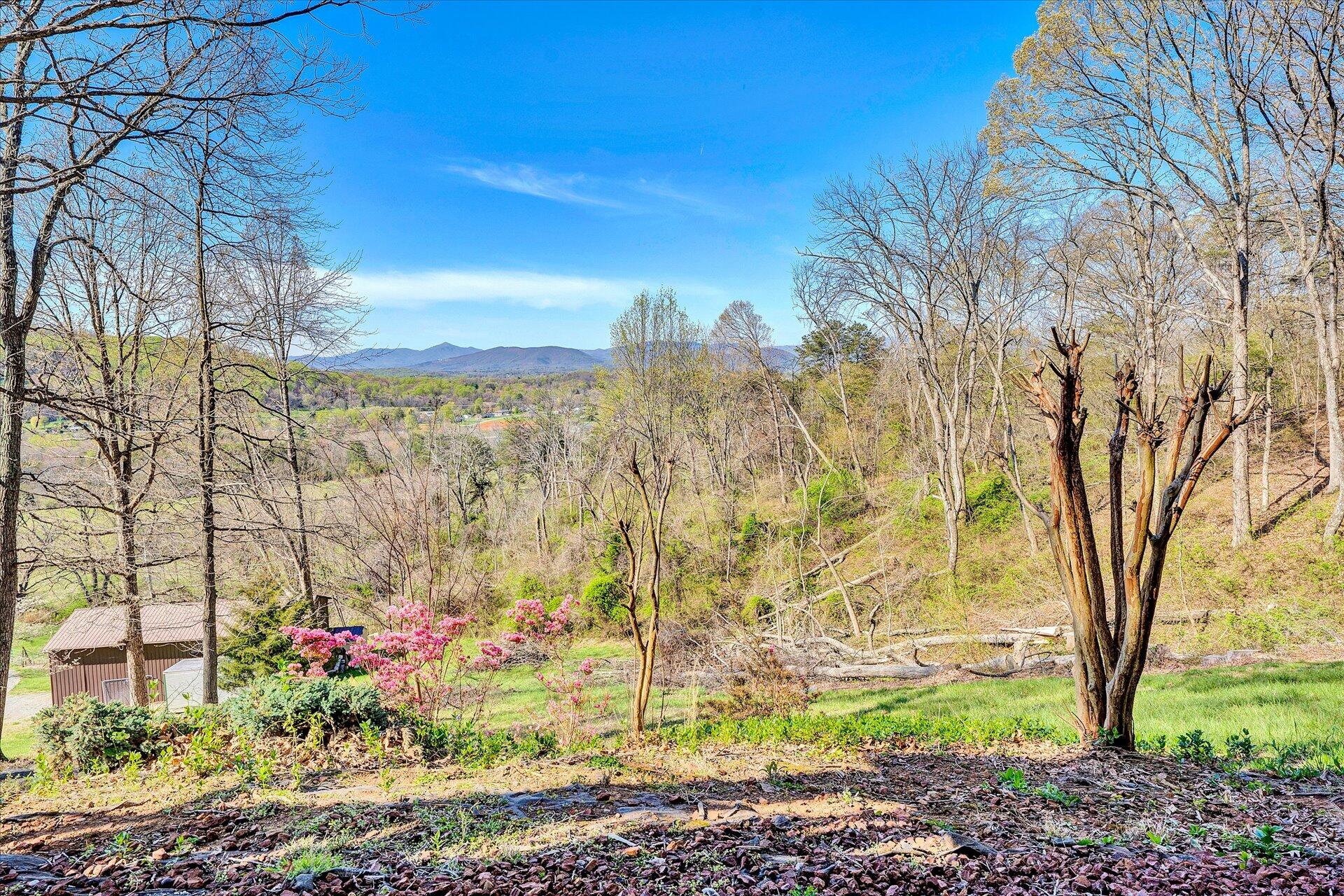 402 Old Brook Road Vinton, VA 24179 - Photo 54 of 54 54-DSC00157